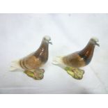 Two Beswick china figures of pigeons No.