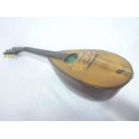 A 19th Century inlaid rosewood mandolin by Stridente of Napoli in lined case