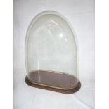 An old glass oval display dome on stained wood stand 16½" high