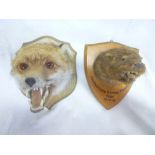 A taxidermy mounted otter's mask on wooden shield "Hawkstone Otter Hounds 1930" and one other