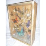 A Victorian taxidermy display of 15 various tropical birds together with butterflies within scenic
