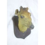 A 19th Century taxidermy stuffed deer's head mounted on a wooden shield