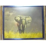 H**Watzek - oil on canvas Study of an elephant, signed,