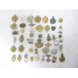 A selection of various military badges including The Devonshire Regiment, Queens Bays,