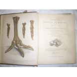 Mantell (GA) A Pictorial Atlas of Fossil Remains, one vol, colour illus,