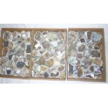 Three boxes of Cornish minerals including hornblend, chalcosite, pyrite, dolomite,