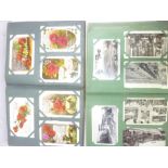 Two albums of various black & white and coloured postcards - topographical,