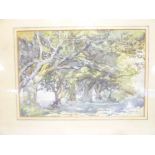 E**M**Lawrence - watercolour "Holford Beeches, Quantock Hills, Somerset", signed with initials,