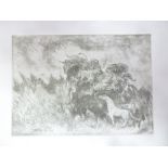 A black & white limited edition etching depicting horse in a landscape signed Bernard Leach,