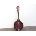 A Brunswick electro acoustic mandolin,