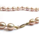 A strand of pear shaped cultured pearls, pink tone, 14ct gold clasp, 46cm length, 29.