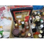 Two malt selection miniatures and various miniature whiskies including Glenmorangie 10 years,