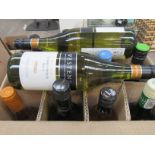 Fourteen various bottles of white wines including Chardonnay (14)