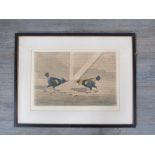 A pair of framed and glazed prints after Edwin Cooper, cock fighting scenes entitled, 'The Let To,