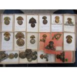 A collection of Fusilier badges including Lancashire Fusiliers and Royal Munster.