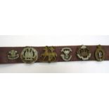 A belt with miscellaneous British badges including RAF and Essex Regiment