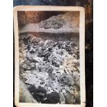 BERGEN-BELSEN CONCENTRATION CAMP INTEREST: A group of photographs depicting mass graves.