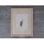 LUCY LOVEHEART (nee Clibbon): A signed framed watercolour "Maribu Stork" 43cm x 32cm