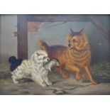 A 19th Century oil on card, The Ratters. Unsigned.