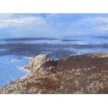 DAVID TRESS (b.1955) (ARR): A framed and glazed watercolour, Pembrokeshire coastal scene.