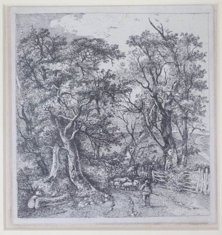 JOHN CROME (1768-1821): A framed and glazed etching, "Road Scene, Hethersett". Image size, 15. - Image 2 of 4