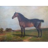 JAMES WILLIAM COLE (act 1849 - onwards): A gilt framed oil on canvas, Hackney Stud Horse,