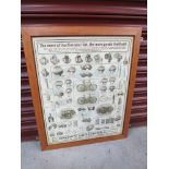 A framed and glazed double sided "Brown Brothers Ltd" poster