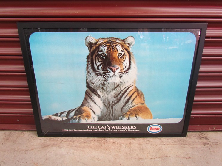 A framed Esso Tiger print 'The cats whiskers'