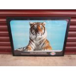 A framed Esso Tiger print 'The cats whiskers'
