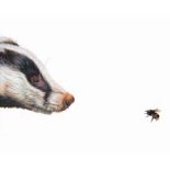 'Top Predator - Badger and Bee' by Hazel Mountford