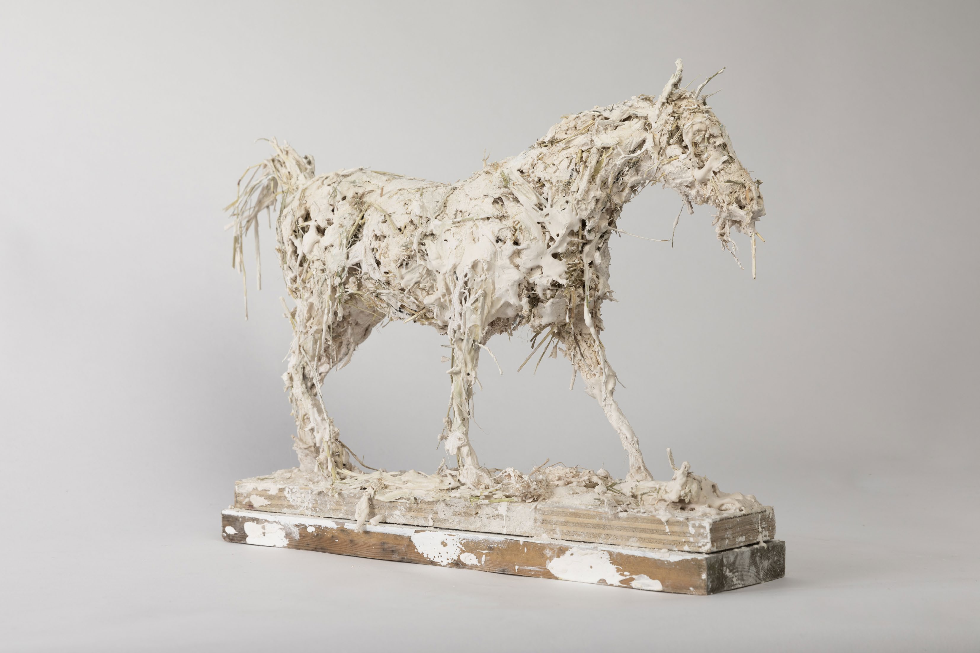 'Pretty Horse' by Nicola Hicks MBE - Image 3 of 6