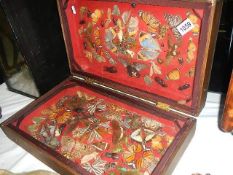 Taxidermy - a cased collection of butterflies.