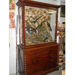 Taxidermy - a Victorian mahogany glazed cabinet on chest containing a collection of exotic birds.