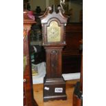 A miniature Grandfather clock.