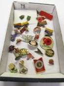 A mixed lot of badges including The Royal British Legion Poppies.