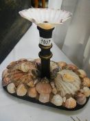 Taxidermy - a stand decorated with shells.