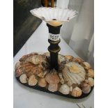 Taxidermy - a stand decorated with shells.