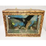 Taxidermy - a collection of birds in a bamboo case.