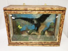 Taxidermy - a collection of birds in a bamboo case.