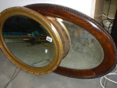 2 oval framed mirrors.