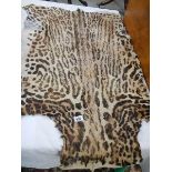 A leopard hide rug.