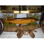 Taxidermy - A large Pike by J Cooper & Sons of 28, Radnor Street, St. Lukes, London E.C.