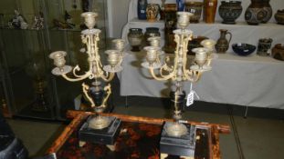 A pair of 19th century 'garniture candelabra'