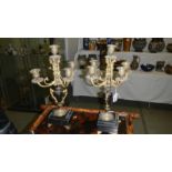 A pair of 19th century 'garniture candelabra'