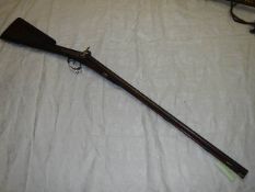 A 14 bore percussion rifle.