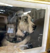 A framed and glazed old print of dog, image 58 x 45 cm, frame 87 x 72 cm.