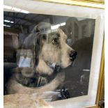 A framed and glazed old print of dog, image 58 x 45 cm, frame 87 x 72 cm.