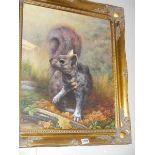 A superb gilt framed oil on canvas painting of a Squirrel. Image 49 x 59 cm, frame 65 x 76 cm.