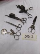 A quantity of Victorian oil lamp wick cutters and other scissors.