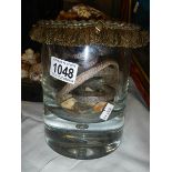 Taxidermy - snakes in a jar.